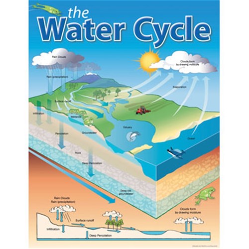 CH6360 - Chart - The Water Cycle - Kookaburra Educational Resources ...