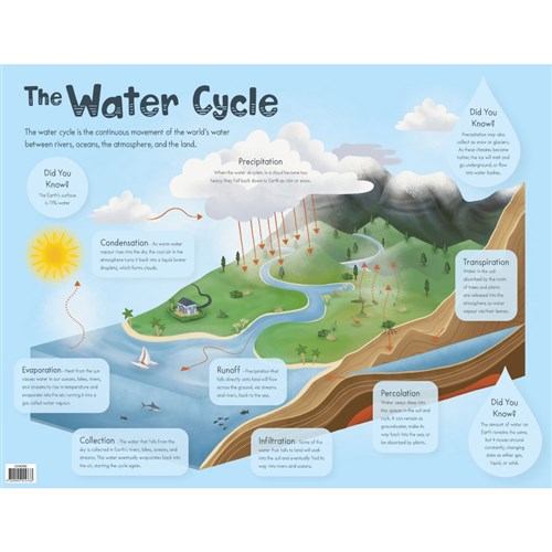 ZAACH6360 - Chart - The Water Cycle - Kookaburra Educational Resources ...