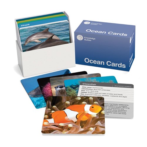 ZKBKBMB06C - Ocean Cards - 100 x 100mm Laminated Set - Kookaburra Educational Resources - one of ...